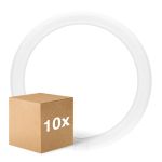 Multipack 10x Ledvance Tube LED T9 Value Circulaire (EM/Direct 230V) 18.3W 2200lm - 840 Blanc Froid | Équivalent 32W