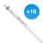 Multipack 10x Philips Tube LED T5 MASTER (HF) High Efficiency 16.5W 2500lm - 840 Blanc Froid | 115cm - Équivalent 28W