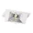 Downlight LED Wallwasher Wally Moyen Blanc 27W 3850lm 78x100D - 840 Blanc Froid - 238x145mm