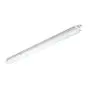 Philips Réglette LED Étanche CoreLine WT120C 33W 4000lm - 840 Blanc Froid | 120cm - Interact Dimmable - Éclairage De Secours 3 Heures