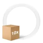 Multipack 10x Ledvance Tube LED T9 Value Circulaire (EM/Direct 230V) 18.3W 2200lm - 840 Blanc Froid | Équivalent 32W